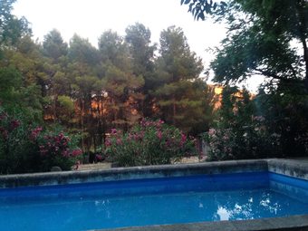 Apartamentos Mas De San Antonio