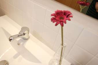 Apartamentos Rural Montseny