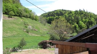 Bed & Breakfast Chambres D'hotes Le Creux Chene
