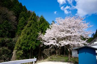 Hotel Farm Stay Ichirobee
