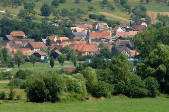 House With 2 Bedrooms In Triembach-au-val, With Wonderful Mountain View, Enclosed Garden And Wifi