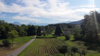 Apartamento Residenza Letizia