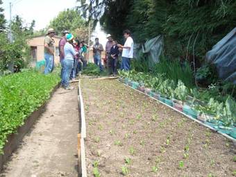 Lodge Centro Ecotur�stico Caba�as Benito Ju�rez