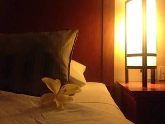 Hotel Magno Tepatitl�n