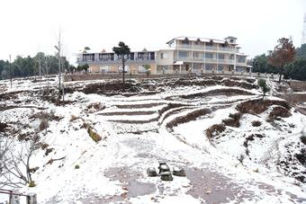 Hotel Mapple The Alpine Chalet Resort