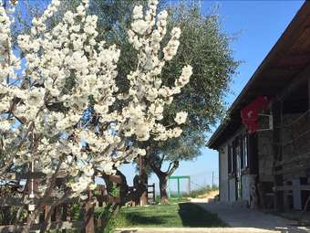 Agroturismo La Vecchia Fornace