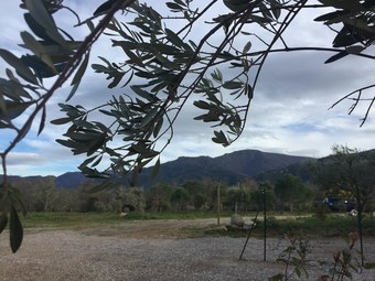 Apartment With One Bedroom In Villelongue-dels-monts, With Pool Access, Furnished Garden And Wifi - 12 Km From The Beach