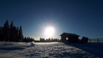 Au Petit Bonheur Vosgien - G�te Les Brimbelles