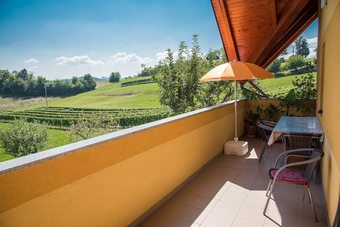 Apartments Vinska Trta