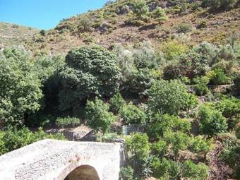 Apartamento Casa Torre Antigua