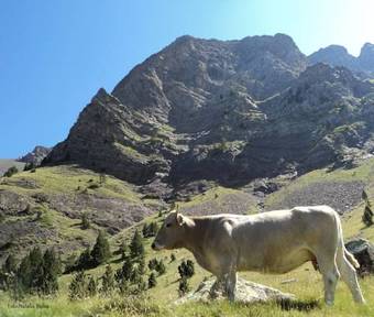 Hostal Mes�n De Salinas