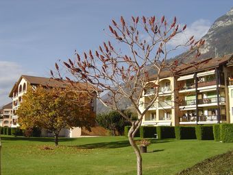 Aparthotel Saillon Evasion Tilleuls 2