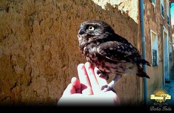 Hotel Rinc�n De Do�a In�s