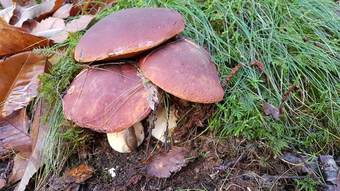 Hotel H�tel Des Voyageurs