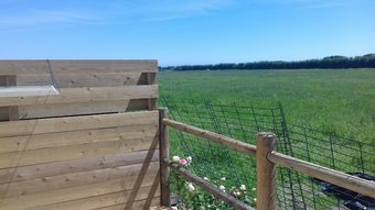 Apartamento Property With 2 Bedrooms In Sainte-marie-du-mont, With Enclosed Garden And Wifi