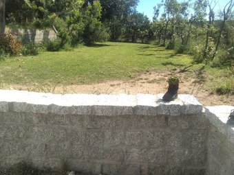 Bed & Breakfast Daillu