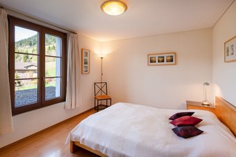 Luxury Alpine Apartment