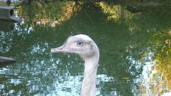 Les Gites Du Mont Suzey