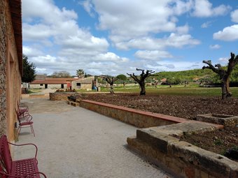 Hostal Quinta Da Corti�a - Casa Da Torre - Hostel