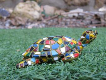 Bed & Breakfast Les Hauts De La Tortue