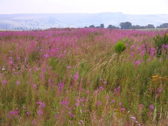 Apartamento Appartement Massiac