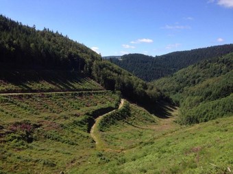 Cabana Bulles Au Paradis Fonts Hautes