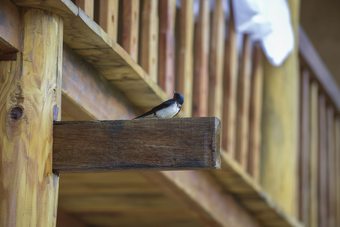 Hostal Toong Homestay