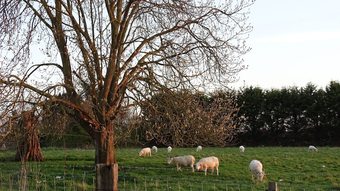 Posada The Dairy At High House