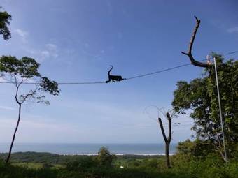 Bed & Breakfast La Colina Pura Vista