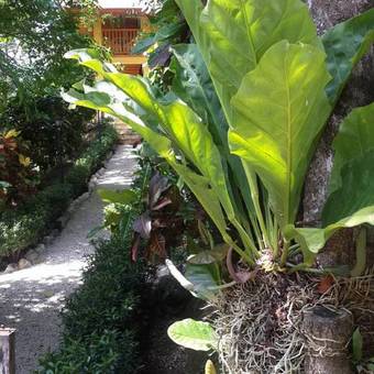 Apartamento Hotel Samara Para�so