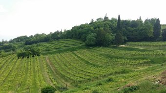 Apartamento Residenza Le Coste