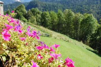 Hotel Dolomiti Lodge Villa Gaia