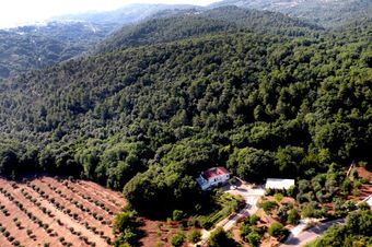 Bed & Breakfast Parco Dai Nonni