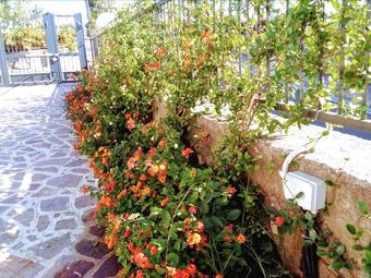 B&B Il Giardino Dei Glicini