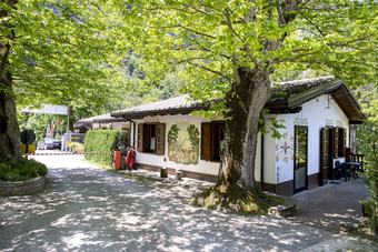 Campeggio Parco Dei Castagni Srl