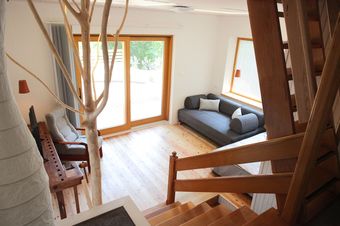 Forest Edge Apartments