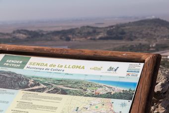 Los Olivos Apartment