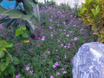 Hostal Pousada Labella Monick