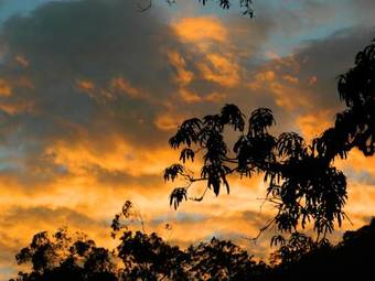 Hostal Bicho Do Mato Suites