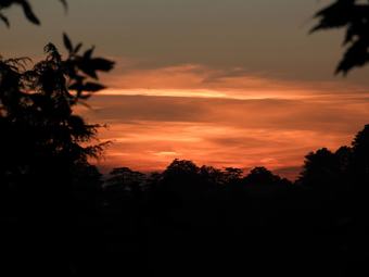 Hotel Sandringham Hideout