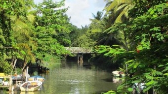 House With 2 Bedrooms In Morne-�-l'eau, With Enclosed Garden - 2 Km From The Beach