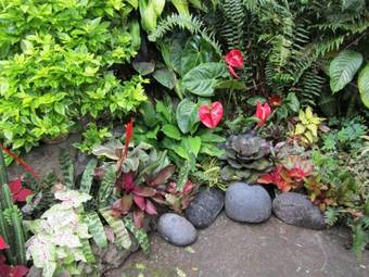 Bed & Breakfast Lilikoi Inn