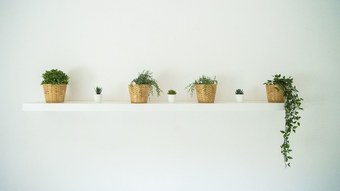 Apartamento Trullo Pinto