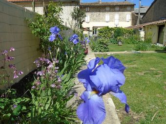 Joli Jardin - Holiday Home