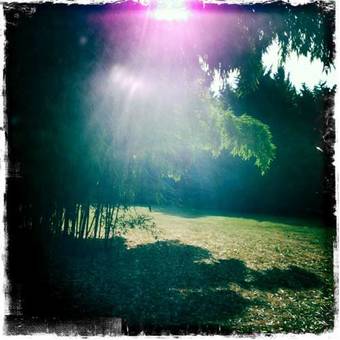 Bed & Breakfast Chambres D'h�tes Le Beauvais