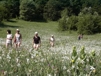 Hostal Chambres & Gites Les Pelaz