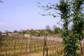 Agroturismo Bio Agriturismo Vojon