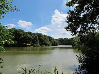 Apartamento Studio In Hallines, With Wifi - 50 Km From The Beach