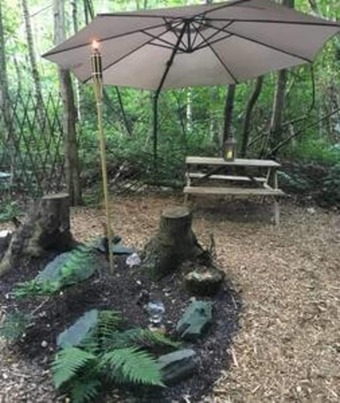 Fern Lodge - Campsite