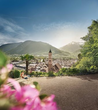 Bed & Breakfast Homesuitehome